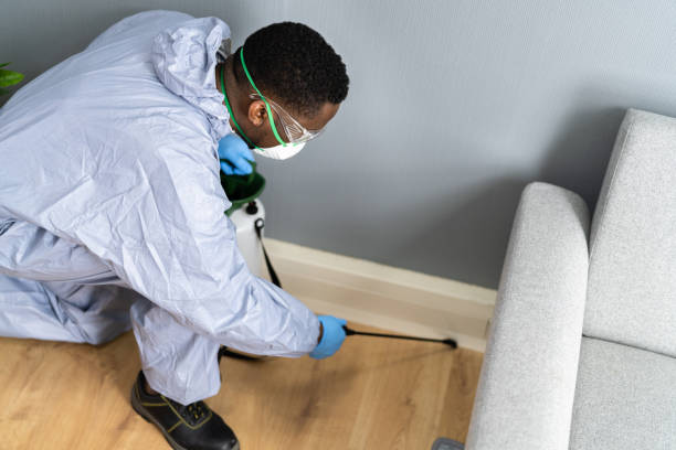 Real Estate Pest Inspections in East Brooklyn, CT